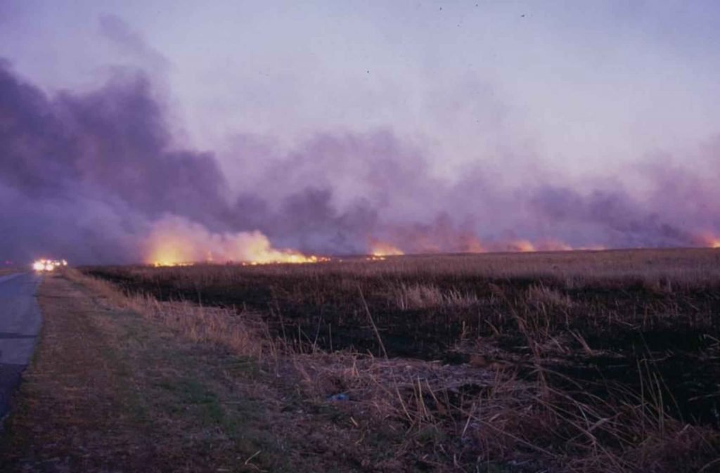 incendio forestal