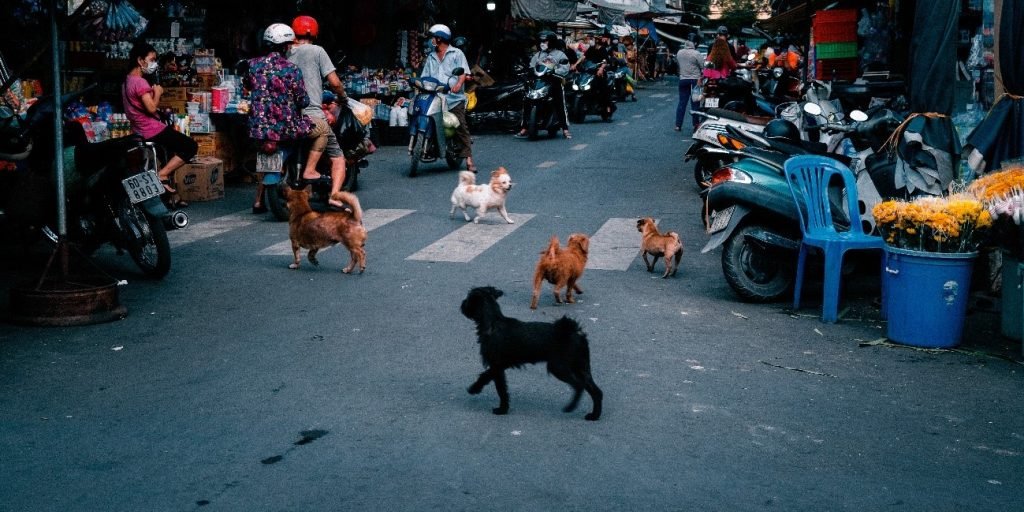 Mercado asiático