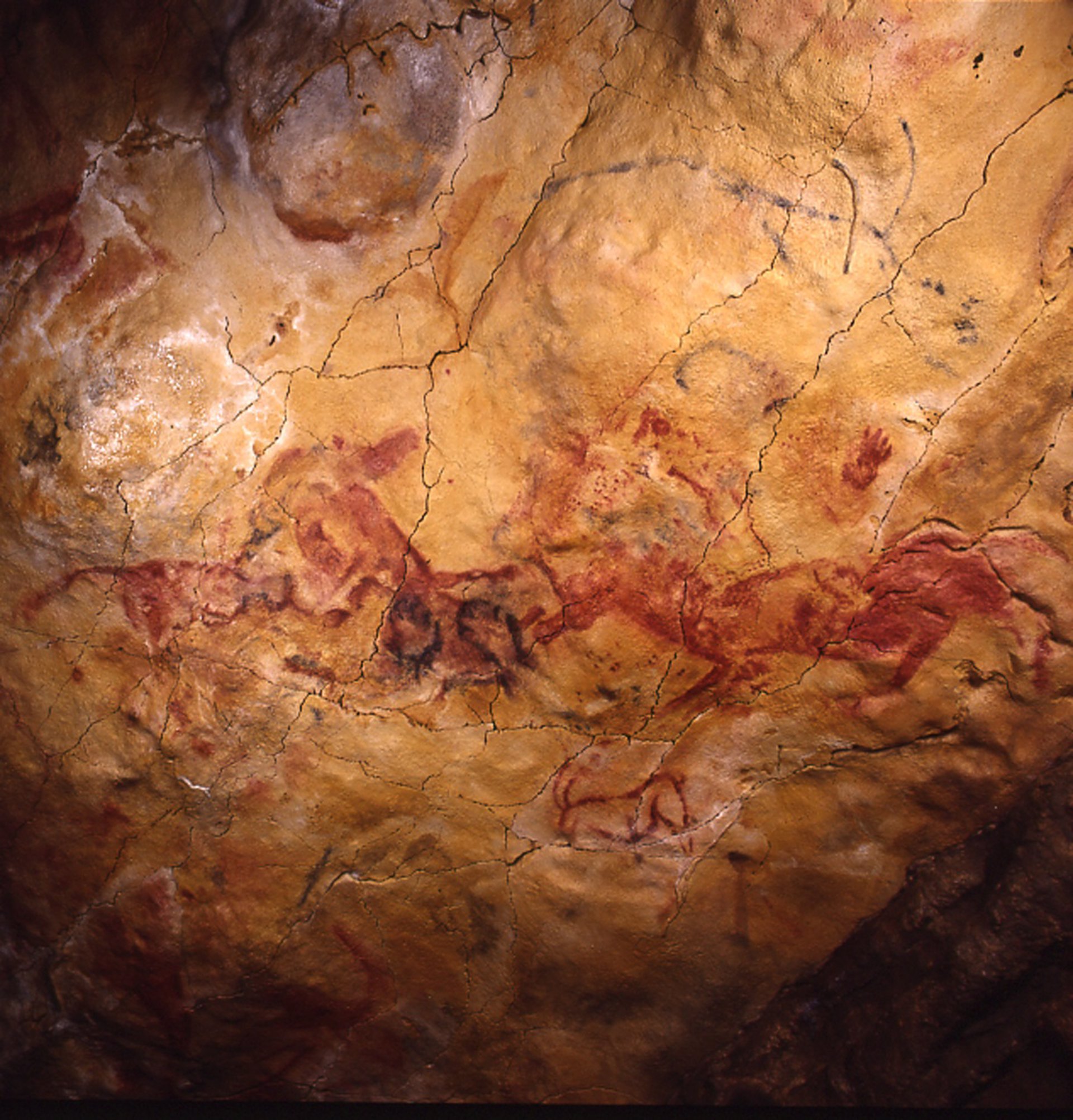 Pinturas en una cueva