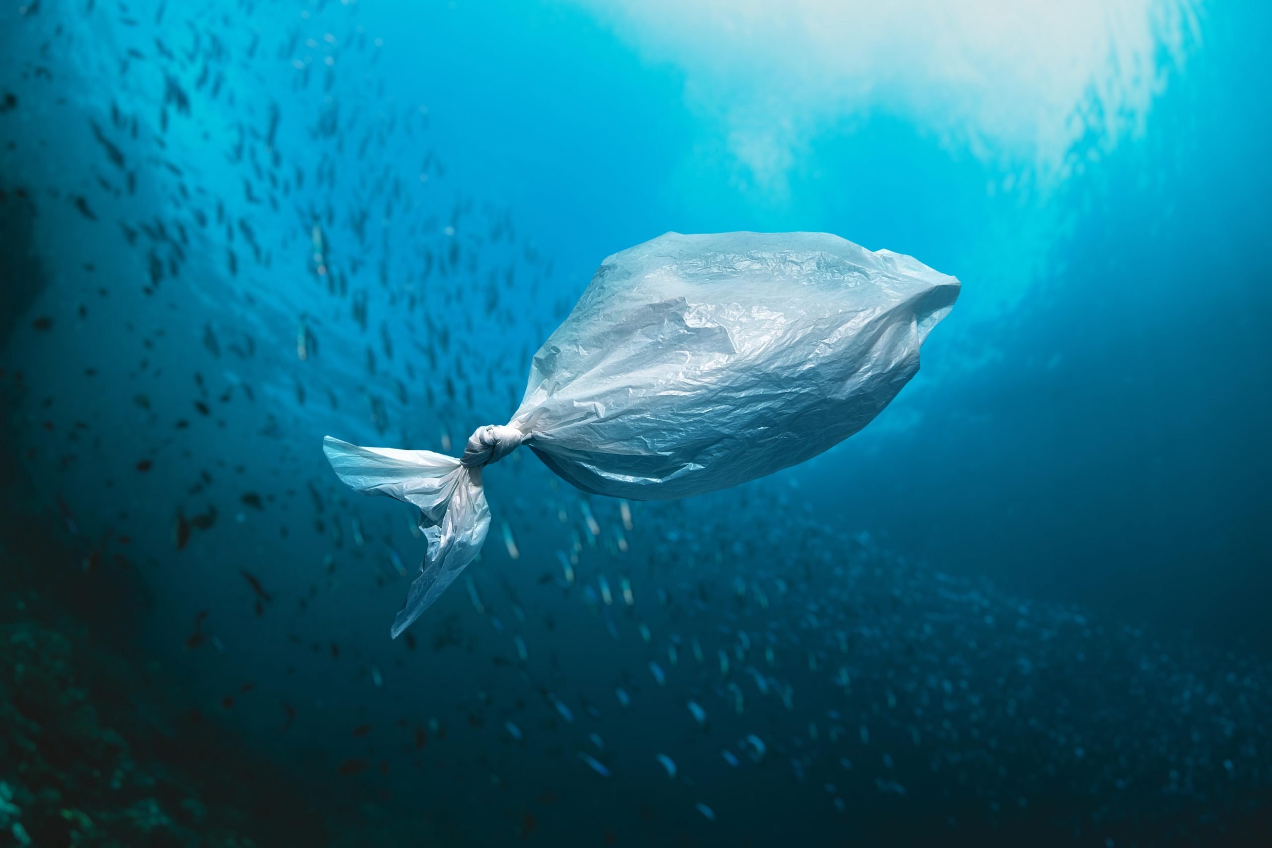 Contaminación plásticos