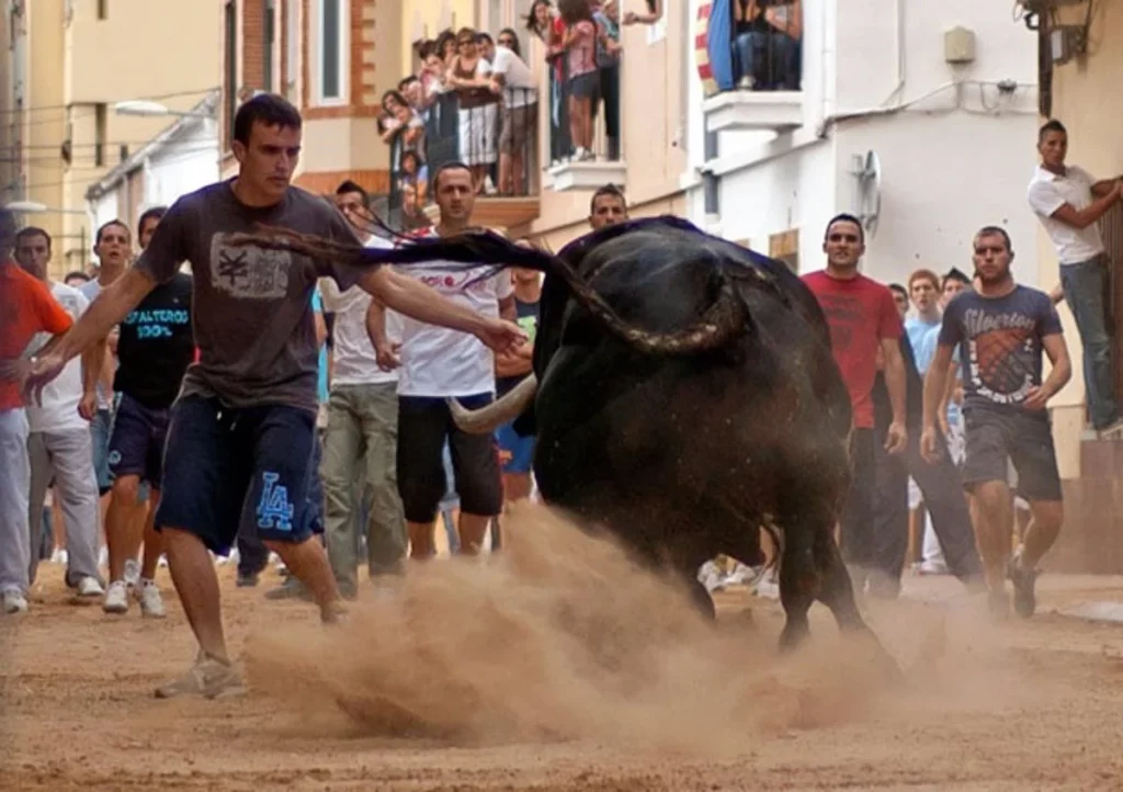 manifestación