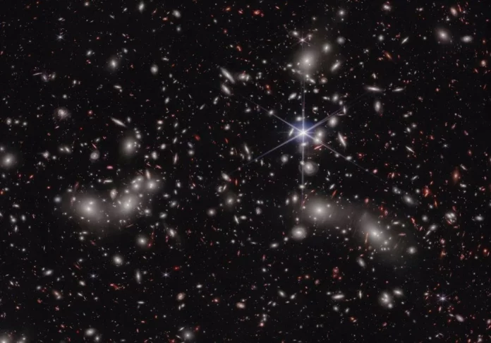 Universo insensatos