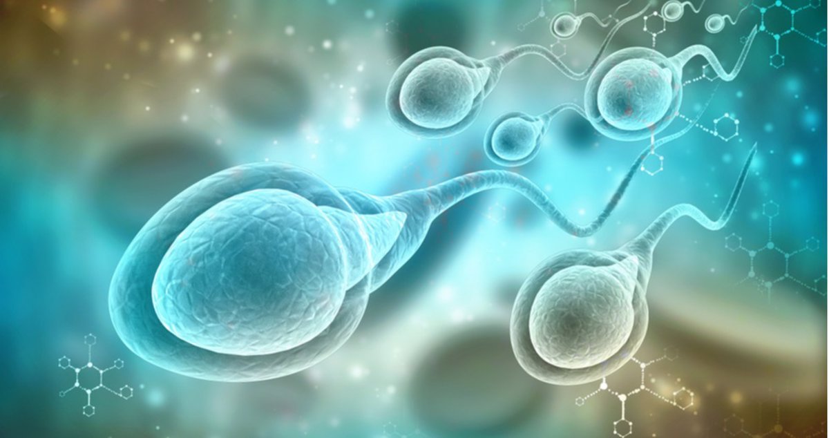 Estudio revela que disminuye la calidad de los espermatozoides en hombres que han sido afectados por el virus de COVID-19