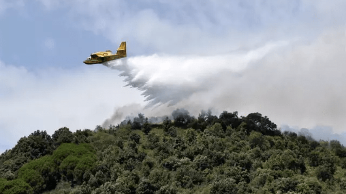 Avión cisterna en operaciones de extincion de incendios en Italia.