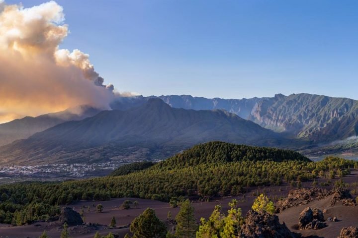 Las llamas han afectado por el momento a unas 4.650 hectáreas y quemado unas 20 edificaciones en la Palma de Gran Canaria.
