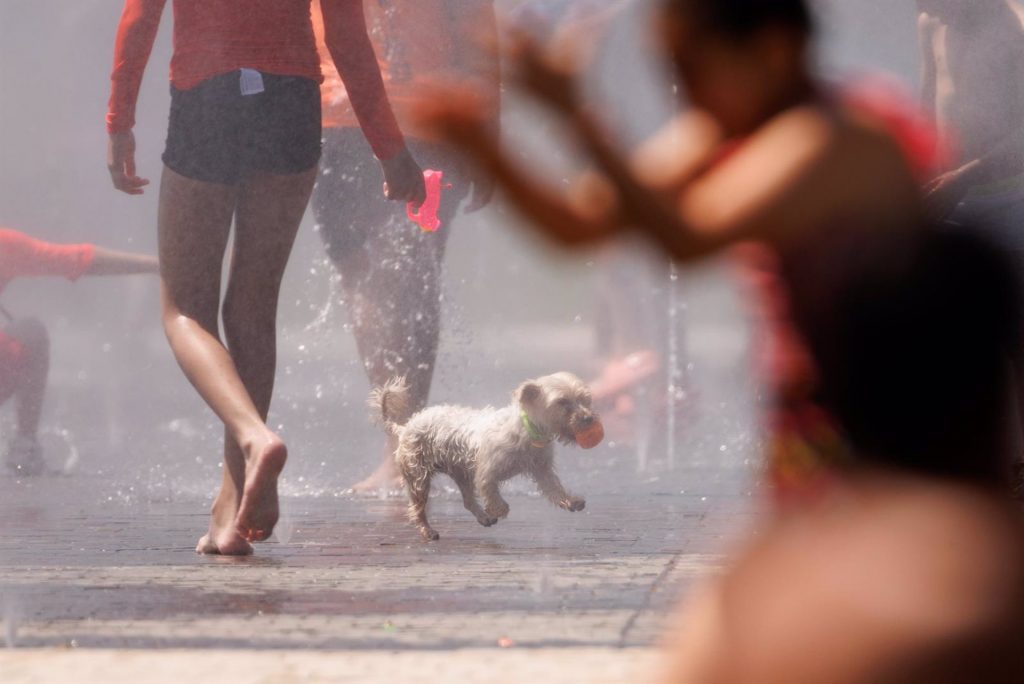 El tiempo para esta semana. Rosan hasta los 44ºC en algunas provincias. La ola de calor Durará al menos hasta el próximo miércoles 19 de julio, afectando especialmente a las zonas del centro e interior sur peninsulares