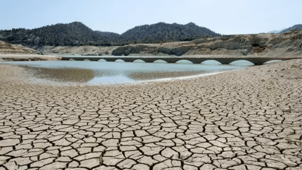 Una herramienta para medir las sequías desarrollada por científicos del Instituto Pirenaico de Ecología y la Estación Experimental.