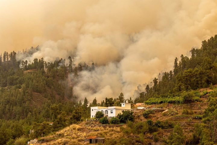 Humo provocado por el incendio forestal declarado en la Palma, cerca de una vivienda, a 15 de julio de 2023, en Puntagorda, La Palma, Canarias (España). - Europa Press