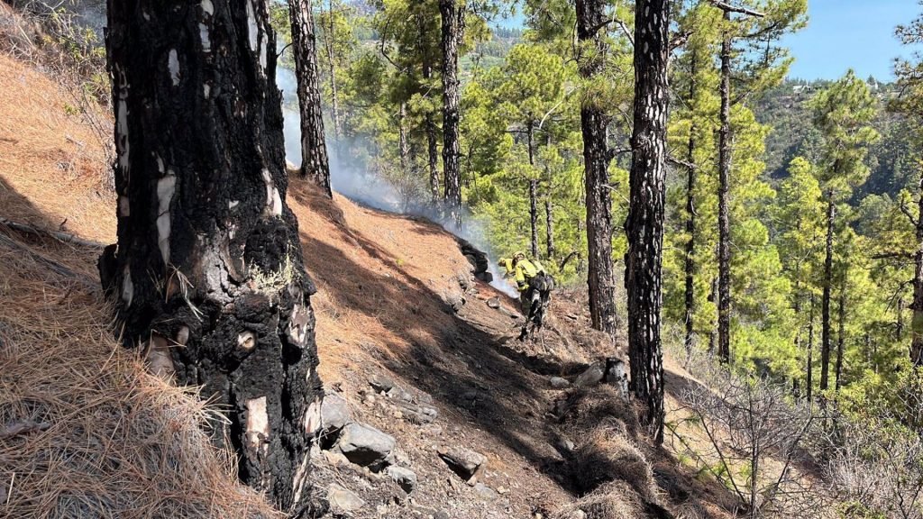 Medios terrestres participan en las labores de extinción del incendio de La Palma.