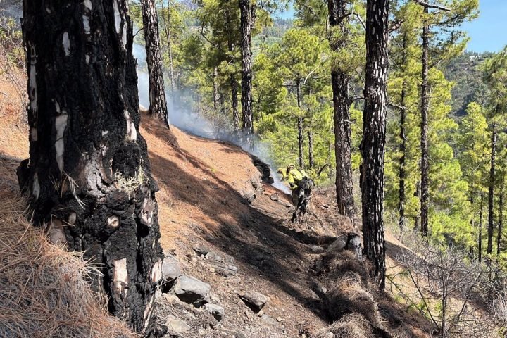 Medios terrestres participan en las labores de extinción del incendio de La Palma.