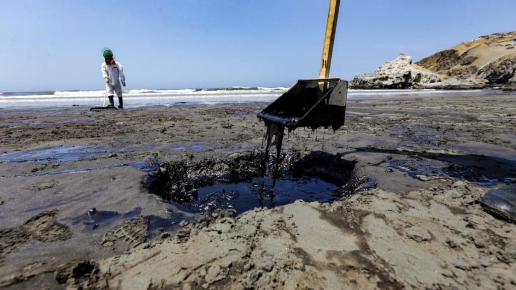 El derrame ya ha afectado al turismo, a la pesca y a algunas de las especies comunes de la zona, como la tortuga marina. | Fuente: CNN Español