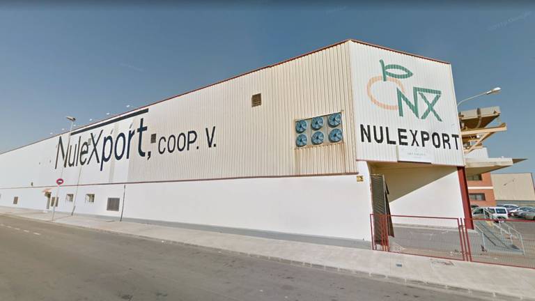 La cooperativa Cítrics de Nules ha anunciado un Expediente de Regulación de Empleo (ERE) que afecta a sus más de 1.000 trabajadores