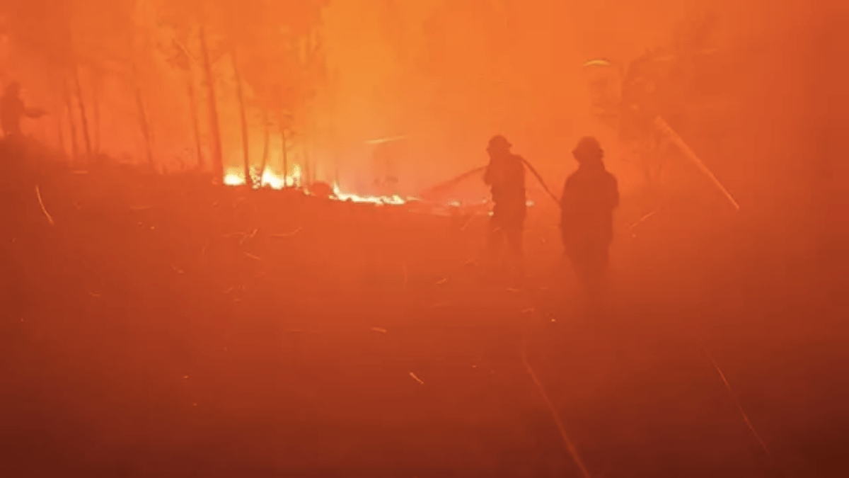 Imagen de archivo de un incendio forestal en Portugal.