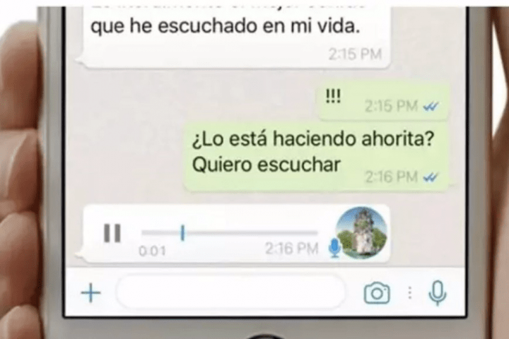 Interfaz de nota de audio de WhatsApp - META