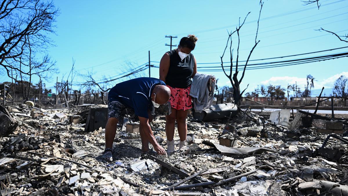 El devastador incendio forestal ha cobrado muchas vidas. / Fuente: E.P.