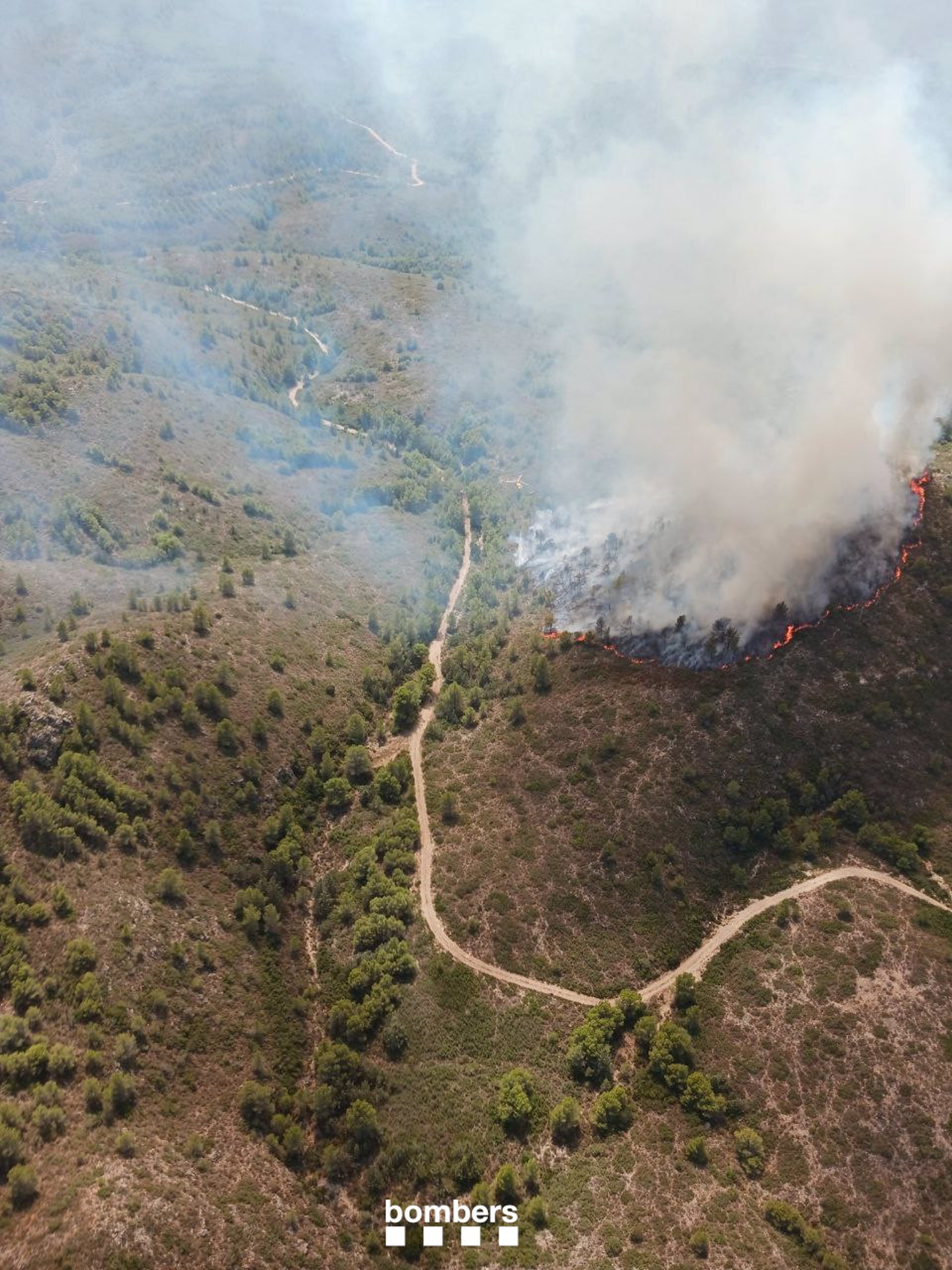 Los Bomberos de la Generalitat han dado por extinguidos los dos incendios forestales de Tivissa (Tarragona) a las 18.45 de este viernes.