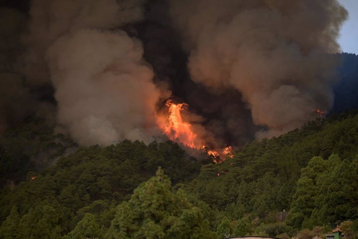 El incendio forestal que comenzó en la noche del 15 de agosto en el monte de Arafo, en la isla de Tenerife, sigue fuera de control