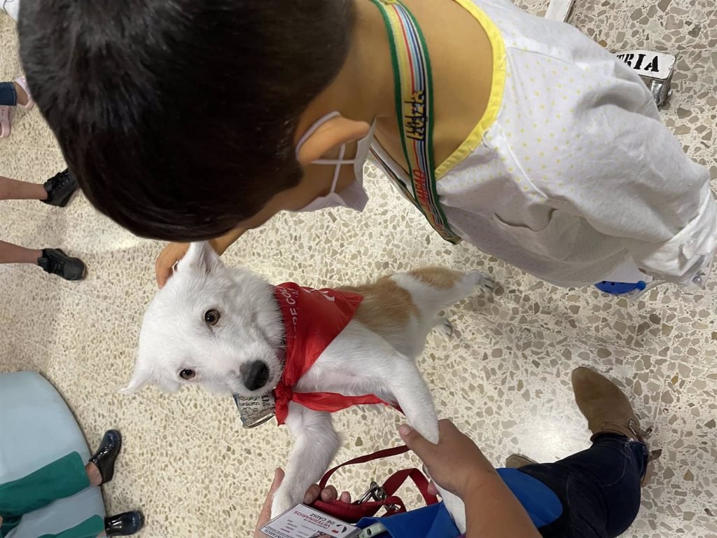 El Hospital Universitario Puerta del Mar de Cádiz y el Colegio Oficial de Veterinarios de Cádiz (Colvet) han impulsado una iniciativa