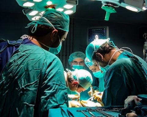 Uno de cada cuatro donantes fallecidos de órganos de la Unión Europea (UE) procedió de España en el año 2022.