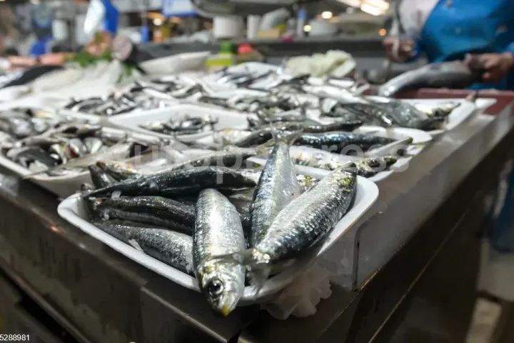 Cargamento de sardinas