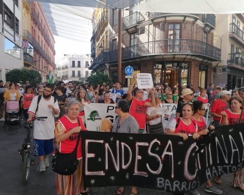 Manifestación en Sevilla. Más de 1.500 personas tomaron la mañana de este sábado las calles del centro de Sevilla.
