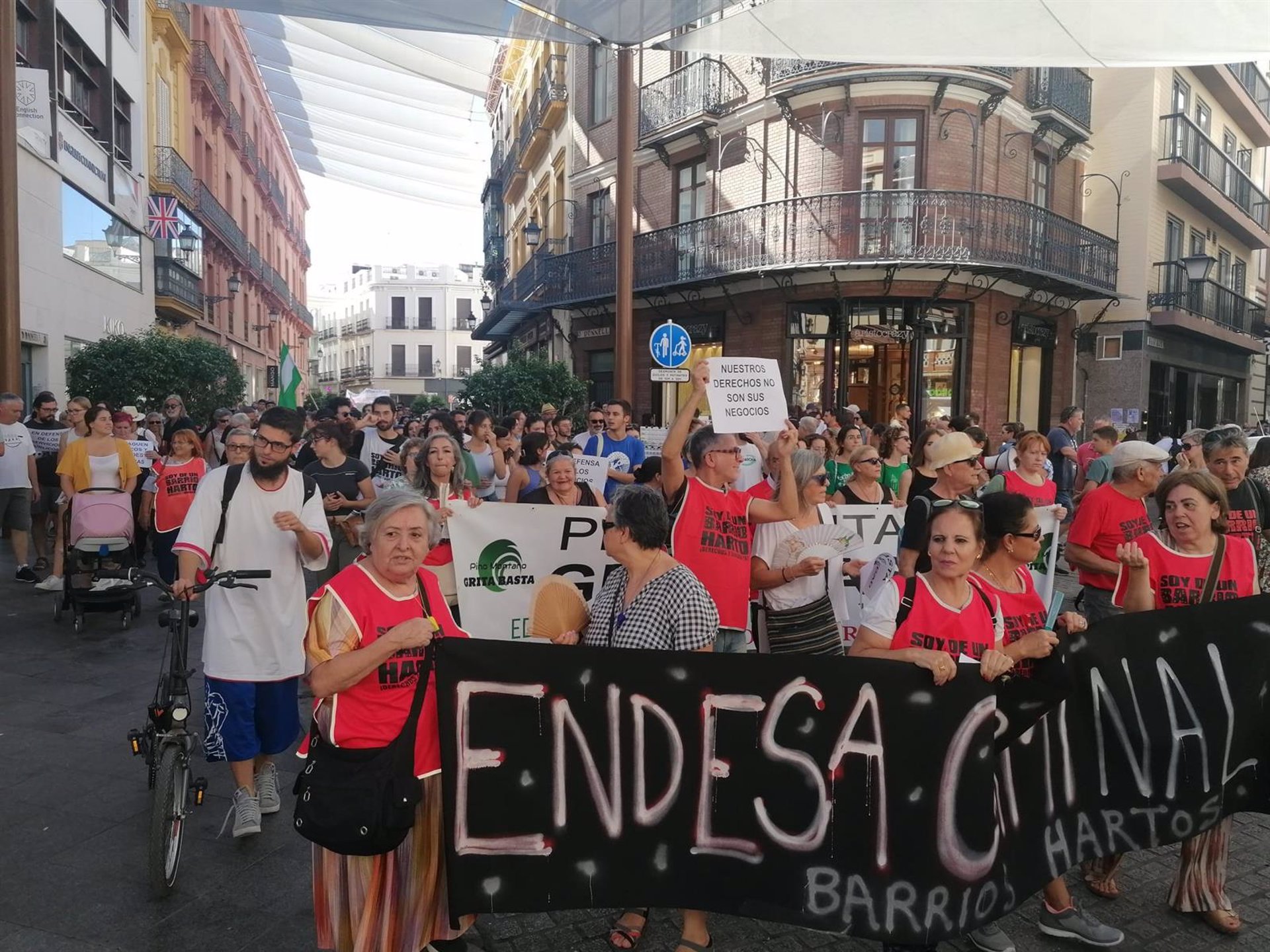 Manifestación en Sevilla. Más de 1.500 personas tomaron la mañana de este sábado las calles del centro de Sevilla.