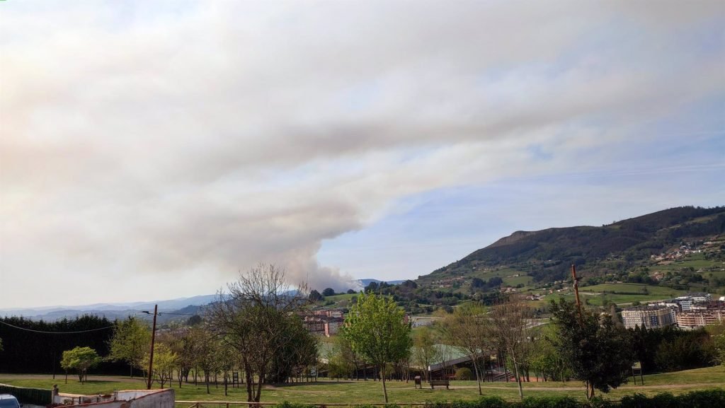 El Principado de Asturias informa este viernes la existencia de doce incendios forestales en diversos concejos de la región.