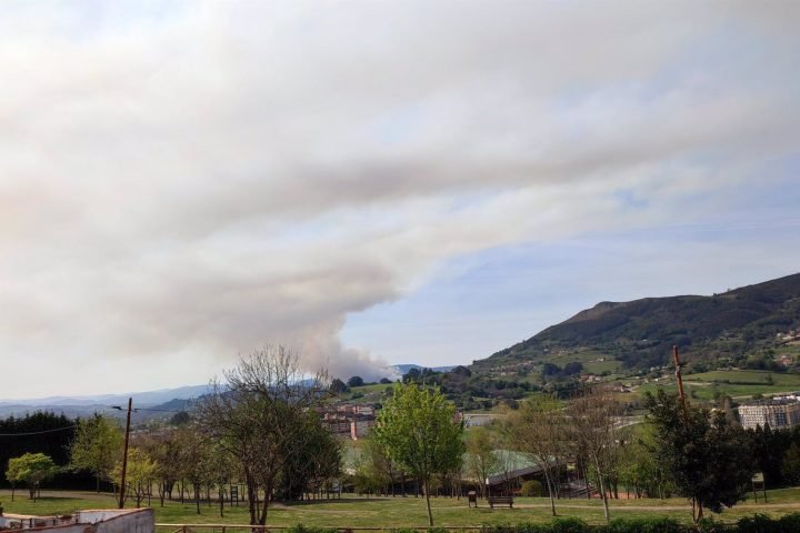 El Principado de Asturias informa este viernes la existencia de doce incendios forestales en diversos concejos de la región.
