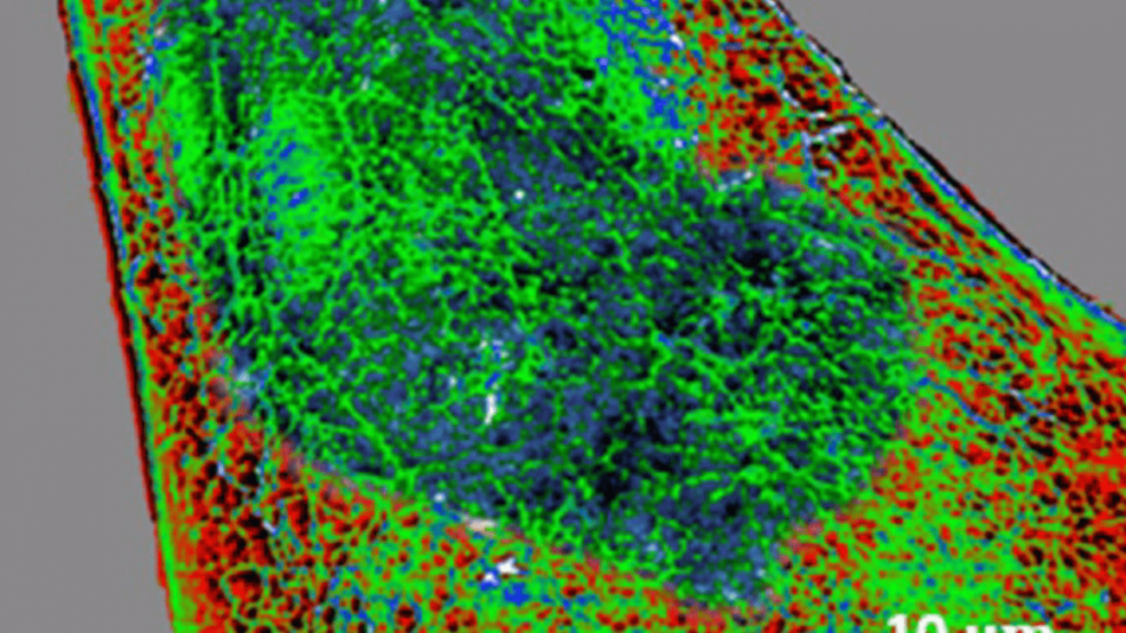 Científicos del Instituto de Ciencia de Materiales de Madrid (ICMM-CSIC) ha logrado un avance crucial en el ámbito de la nanomedicina.