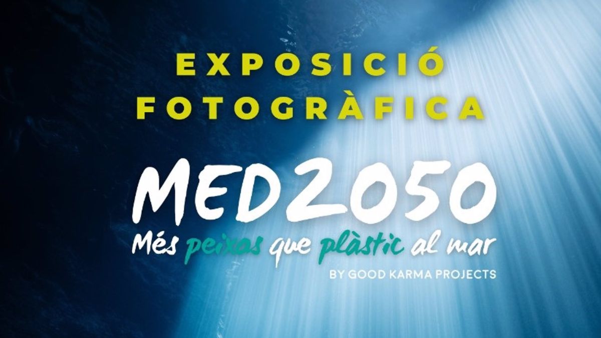 Cartel de la exposición MED 2050