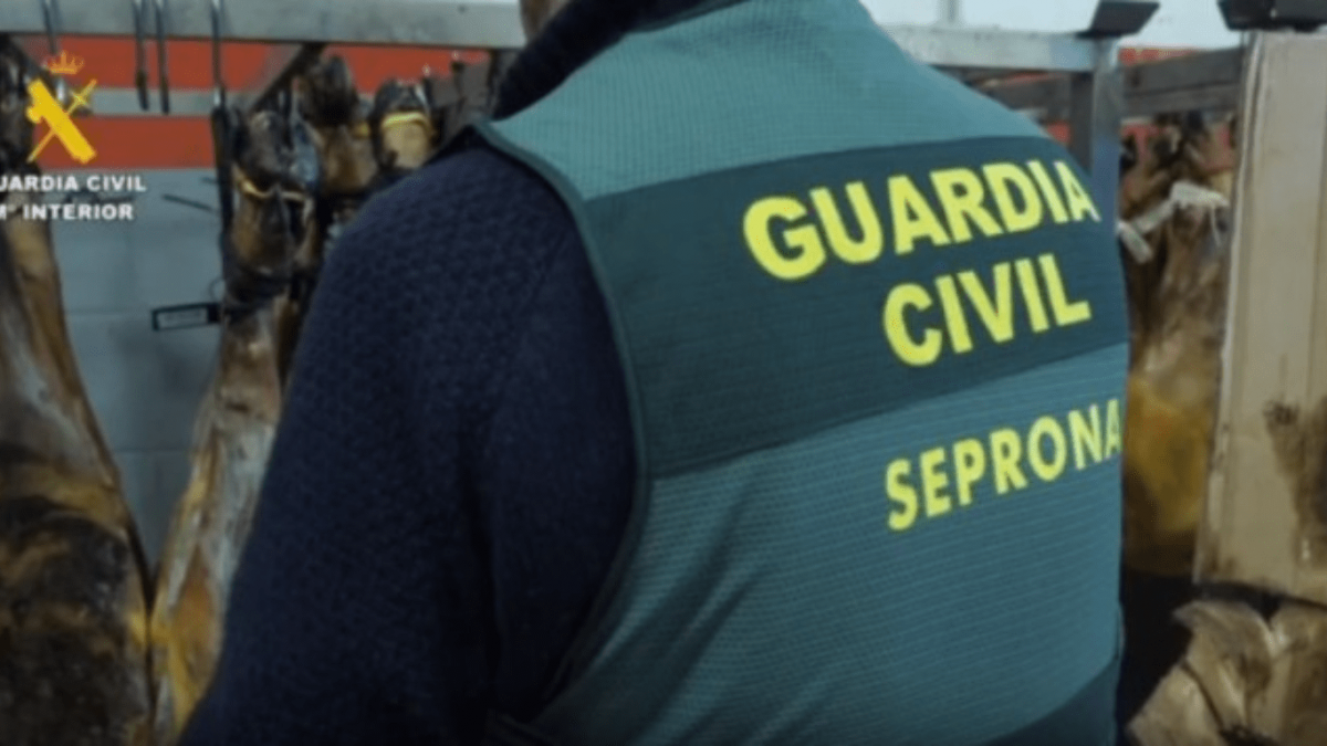 La Guardia Civil interviene en Sevilla casi una tonelada de jamones