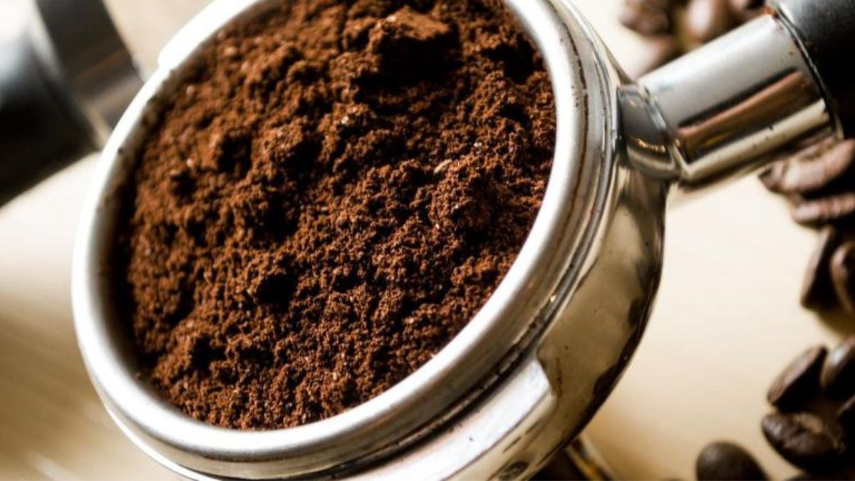 Inventan un pienso más barato con posos de café