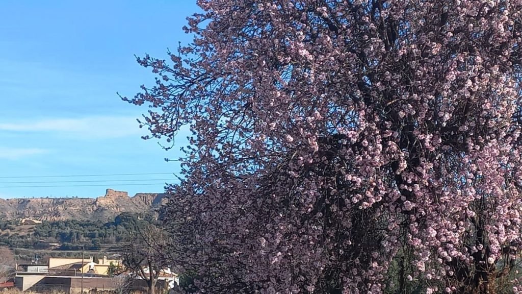 Primavera en invierno no es bueno porque la vida tiene sus ciclos