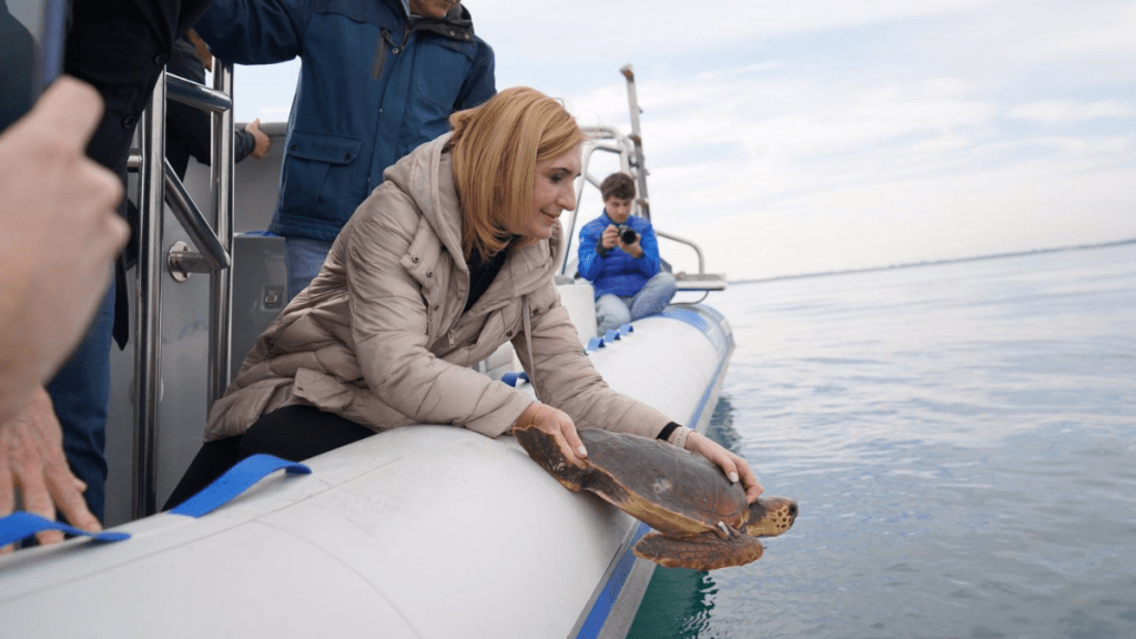 Conservación marina suelta especies en El Saler, Valencia. EP