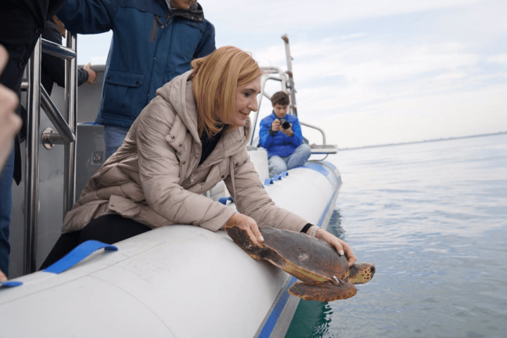 Conservación marina suelta especies en El Saler, Valencia. EP