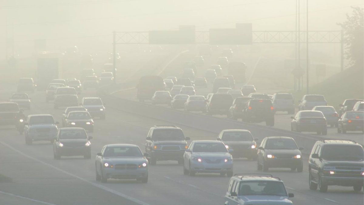 Contaminación, tráfico, atasco, coches y niebla