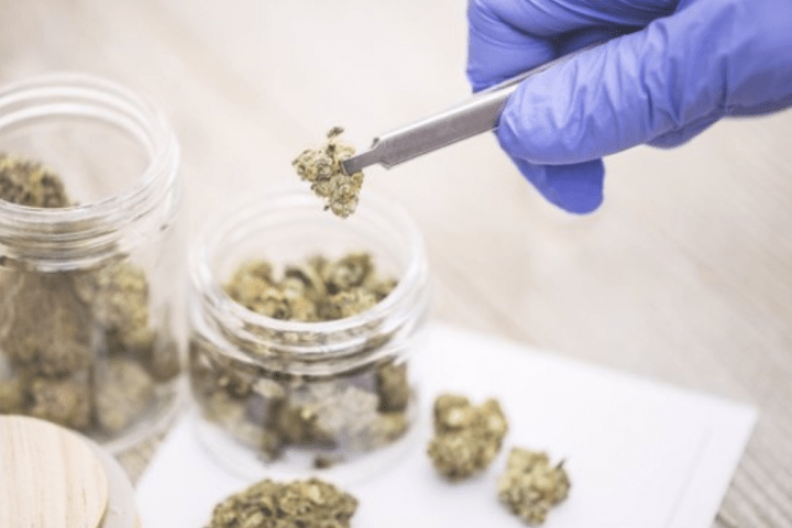Farmaceúticos Rea Decreto cannabis medicinal