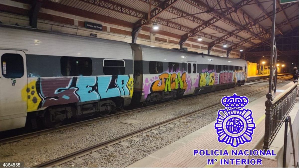 Graffitis en trenes | Fuente: PN