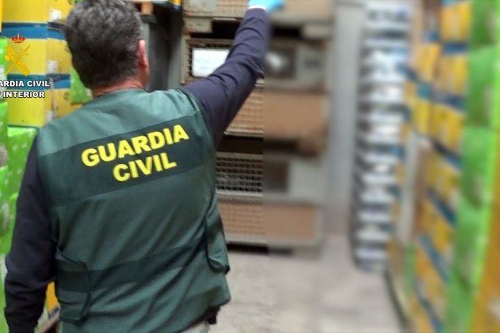 Agente de la guardia civil | Fuente: GC