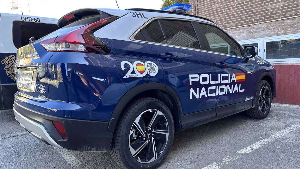 Coche Policía Nacional I Fuente: EP