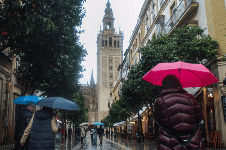 Varias personas se protegen de la lluvia bajo sus paraguas en Sevilla (Andalucía, España) - María José López - Europa Press