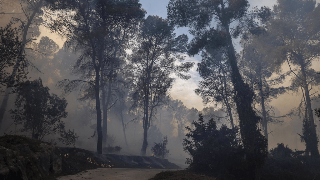 Una zona afectada por el fuego, a 3 de noviembre de 2023, en Ador. - Rober Solsona - Europa Press