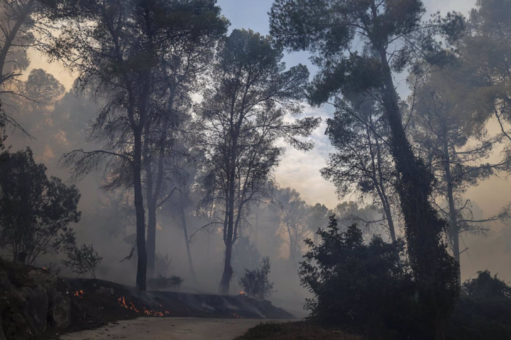 Una zona afectada por el fuego, a 3 de noviembre de 2023, en Ador. - Rober Solsona - Europa Press