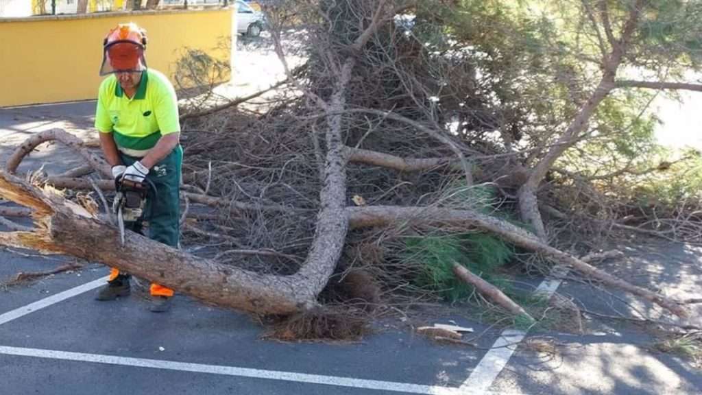 Muere asfixiado por las ramas de un árbol