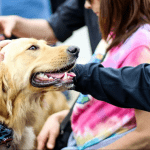 Un perro doméstico recibiendo amigos amigo caricias | EP perros