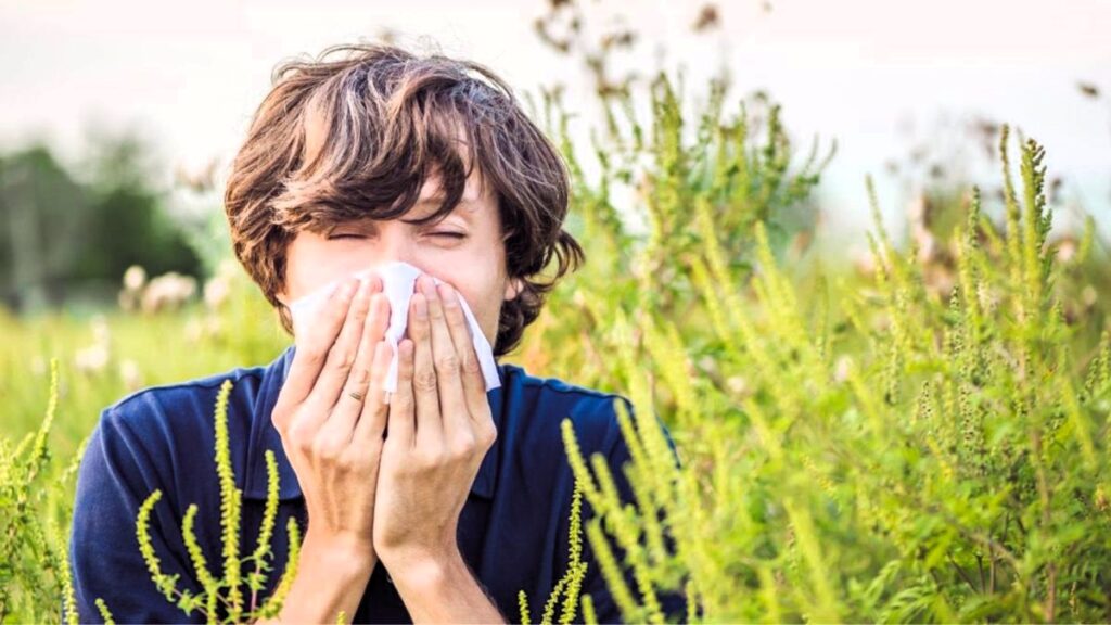 El calor complica la vida de la gente por las alergias