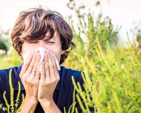 El calor complica la vida de la gente por las alergias