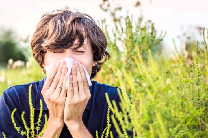 El calor complica la vida de la gente por las alergias