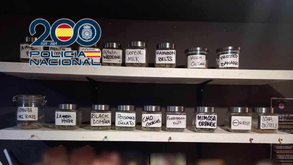 Venta de droga en locales que imitaban asociaciones cannábicas en Benidorm | EP