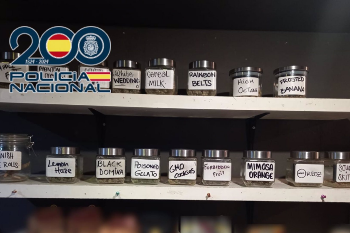 Venta de droga en locales que imitaban asociaciones cannábicas en Benidorm | EP